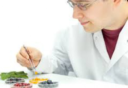 Food Chemistry and Food Development